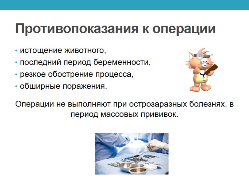 Противопоказания к операции истощение животного,  последний период беременности,  резкое обострение процесса, 